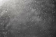12th Jun 2022 - Water Droplets