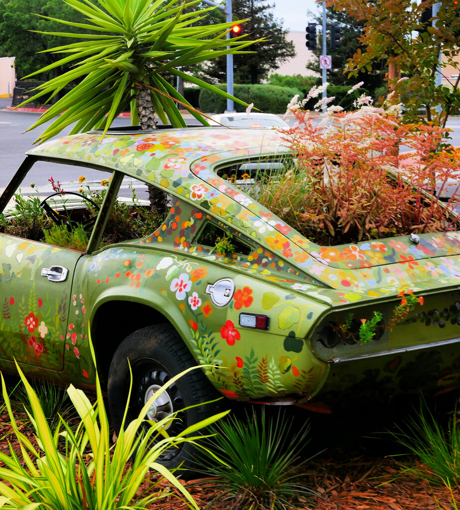 Planter Car by gq