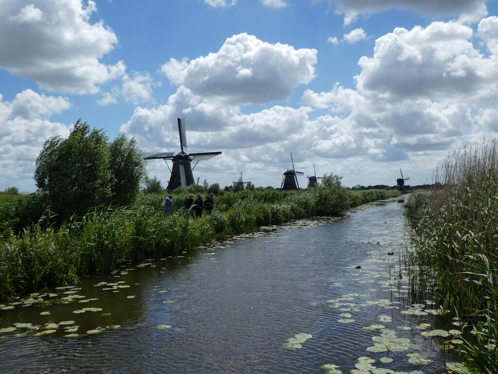Kinderdijk Windmills by cmp