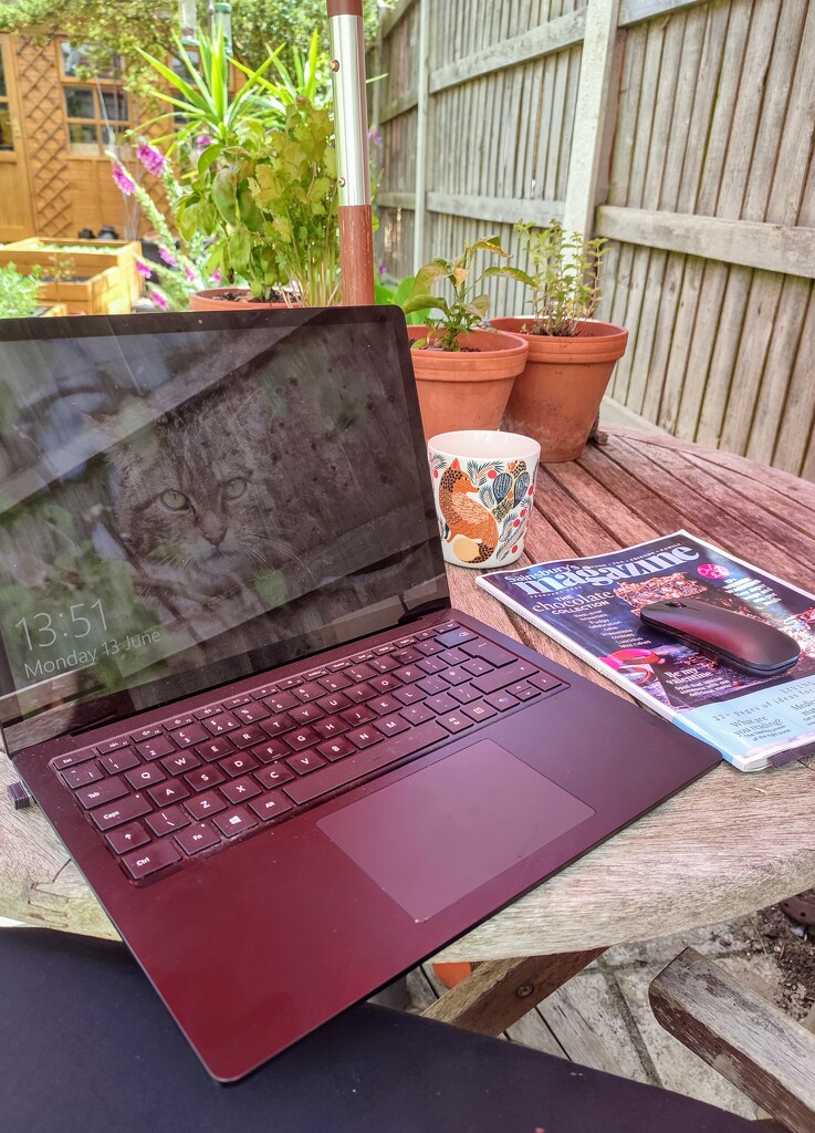 Working outside  by boxplayer