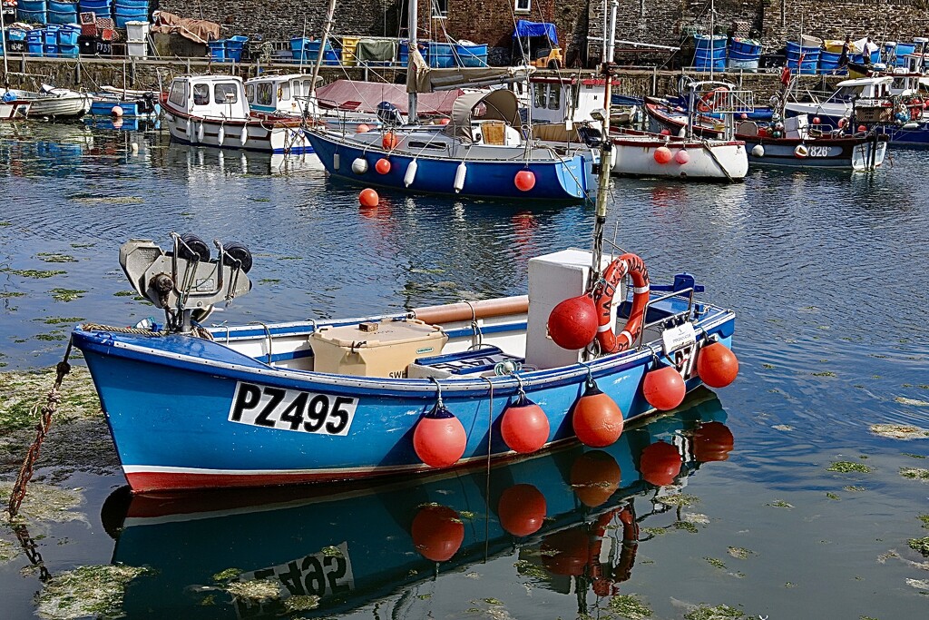 Mevagissey Harbour by carole_sandford