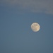 Yesterday’s Moon by allie912