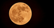 13th Jun 2022 - Almost Full Moon!
