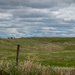 Windmill on the Nebraska plains by theredcamera