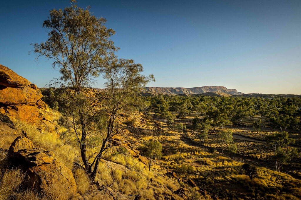 The escarpment of the West Macdonnell ranges by pusspup