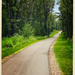 Trail ride - Eau Claire, Wisconsin by jeffjones