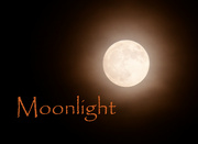 13th Jun 2022 - Moonlight
