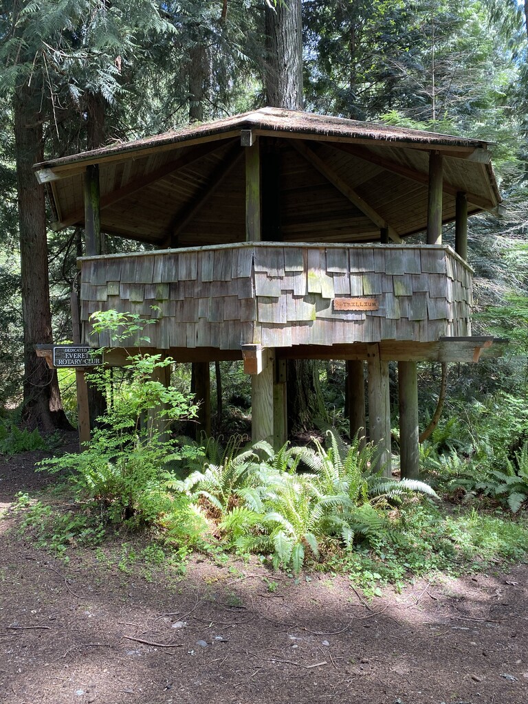 Pole House at Camp Killoqua  by clay88