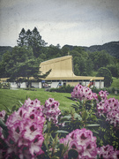 15th Jun 2022 - Church and rhododendron (film edit)
