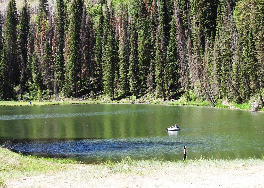Falling in Love with Oowah Lake, Utah by janeandcharlie