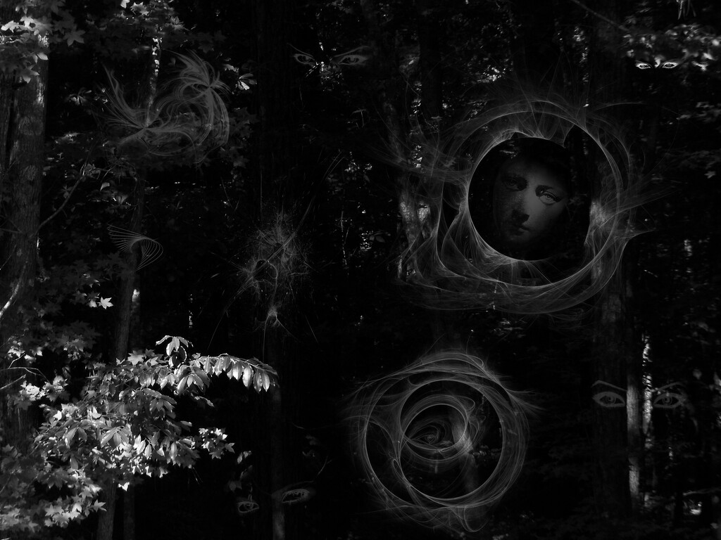 In the deep dark wood... by marlboromaam