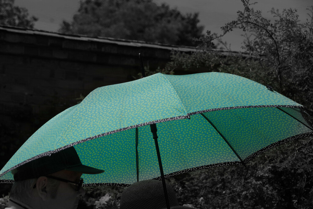 umbrella by 30pics4jackiesdiamond