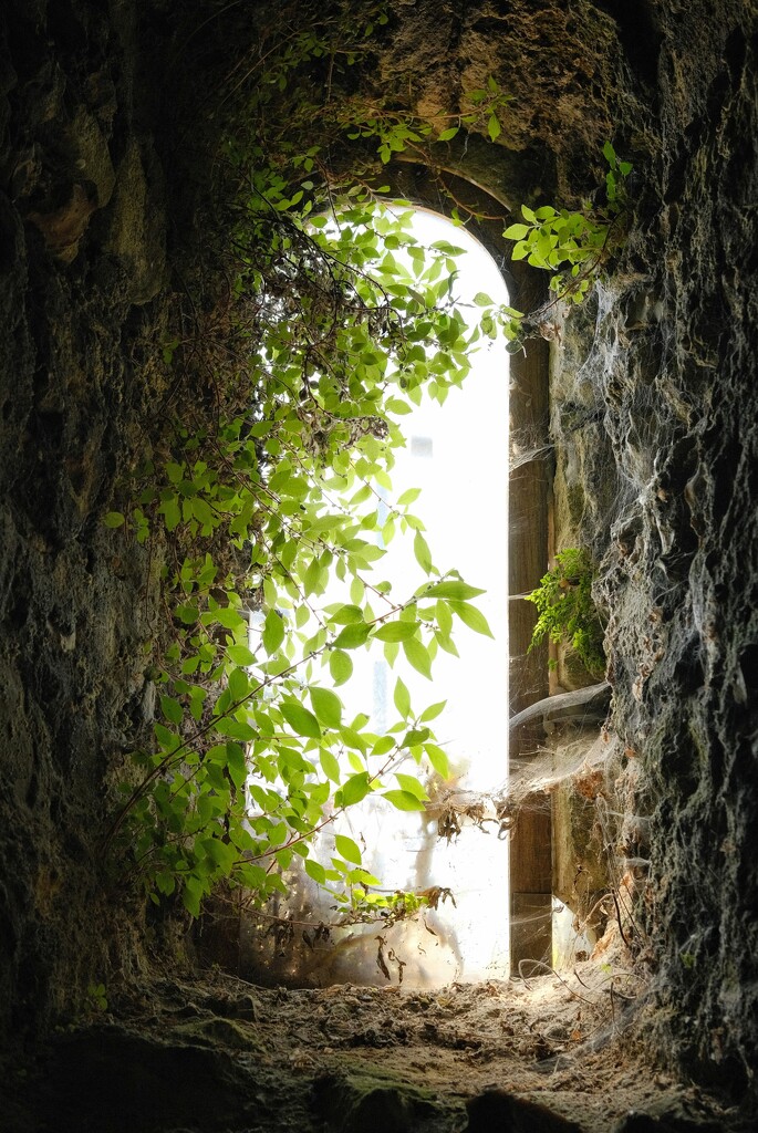 Portchester Castle window by 4rky