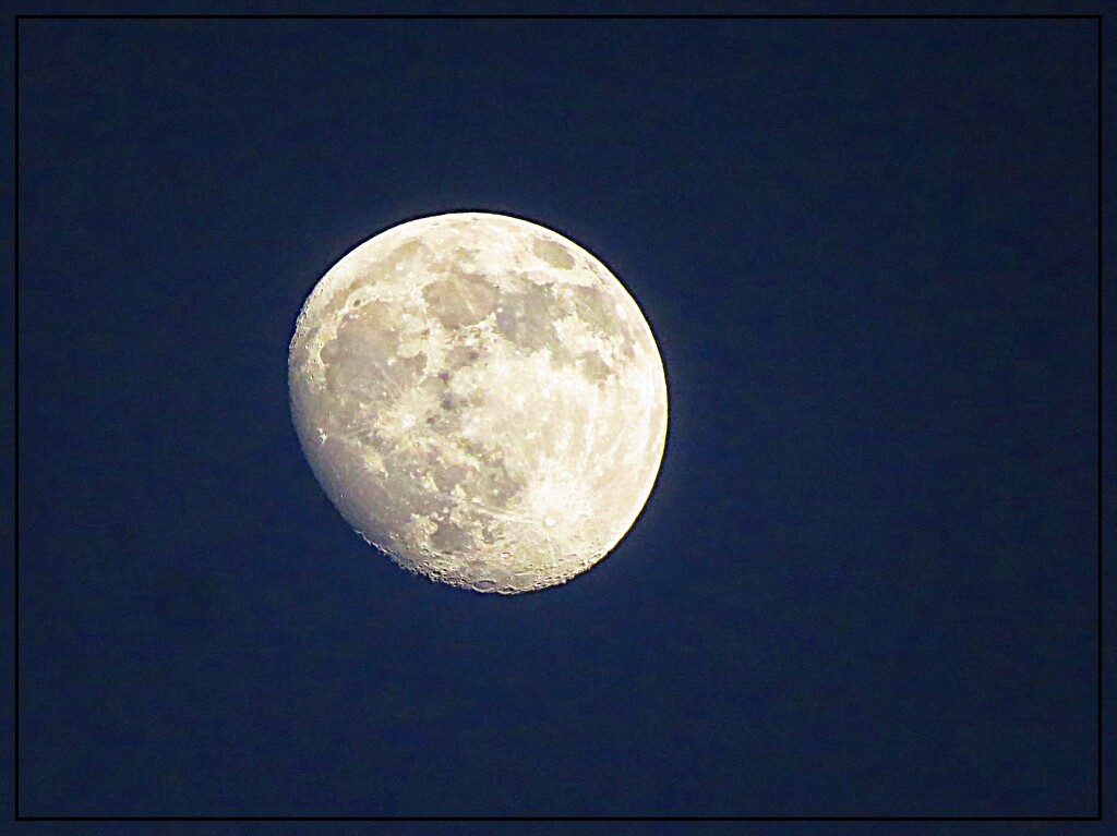 The Moon on June 11th by olivetreeann