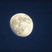 The Moon on June 11th