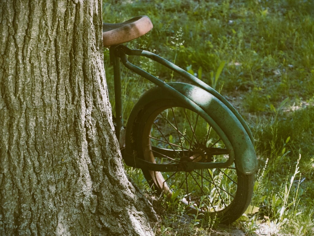 green bike by edorreandresen
