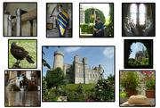 17th Jun 2022 - Axe Murderers' Visit to Arundel Castle