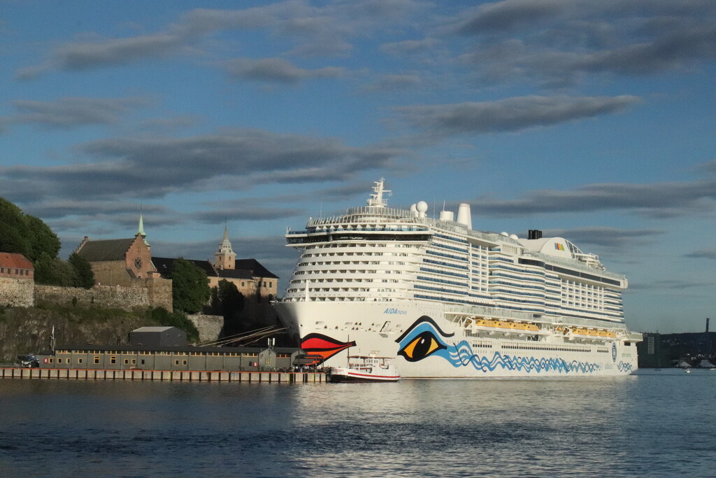 Who's this in my harbour? Super-cruise ship in Oslo harbour, dwarfing the ancient fortress by 365jgh