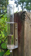 18th Jun 2022 - Almost two inches...