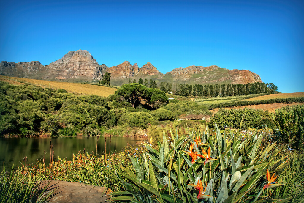 Helderberg as seen from the Deck by ludwigsdiana