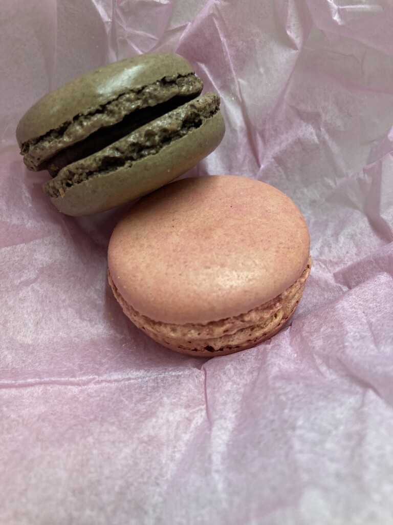 Les Macaron  by elainepenney