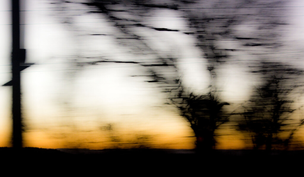 Get Pushed 515 ICM Trees Silhouette by annied