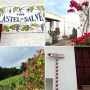 19th Jun 2022 - Castel Salve Winery, Depressa