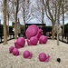 Pink snails  by brigette