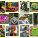 Flowers  For A Tudor Wedding Day by 30pics4jackiesdiamond
