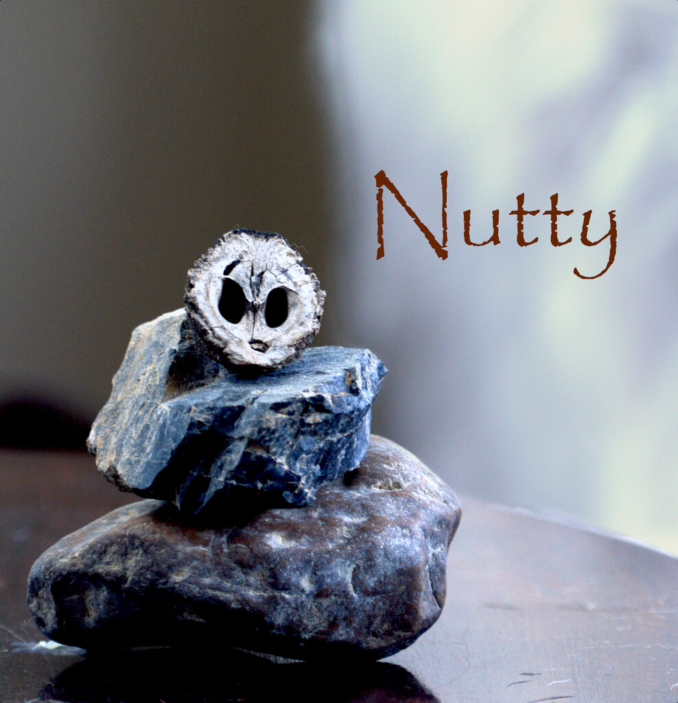 Nutty by francoise
