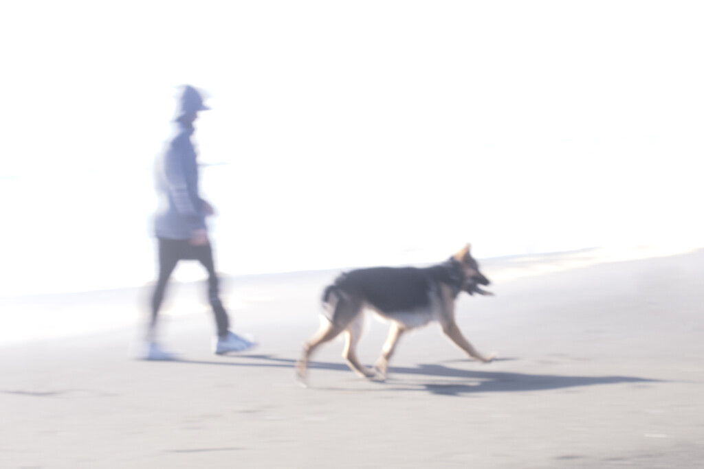 Walking his dog by dkbarnett