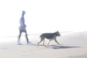 11th Jun 2022 - Walking his dog