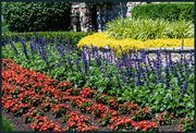 19th Jun 2022 - Flower Garden at Shannondell