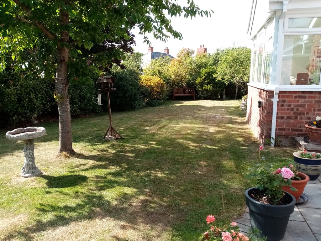 Back Lawn in June  by g3xbm