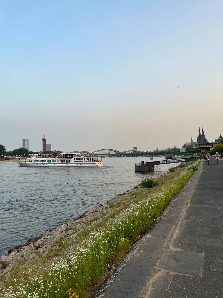Rhine by ctst
