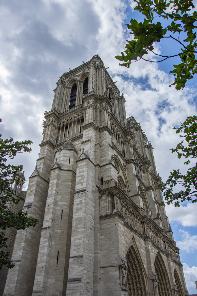 Notre Dame by cwbill