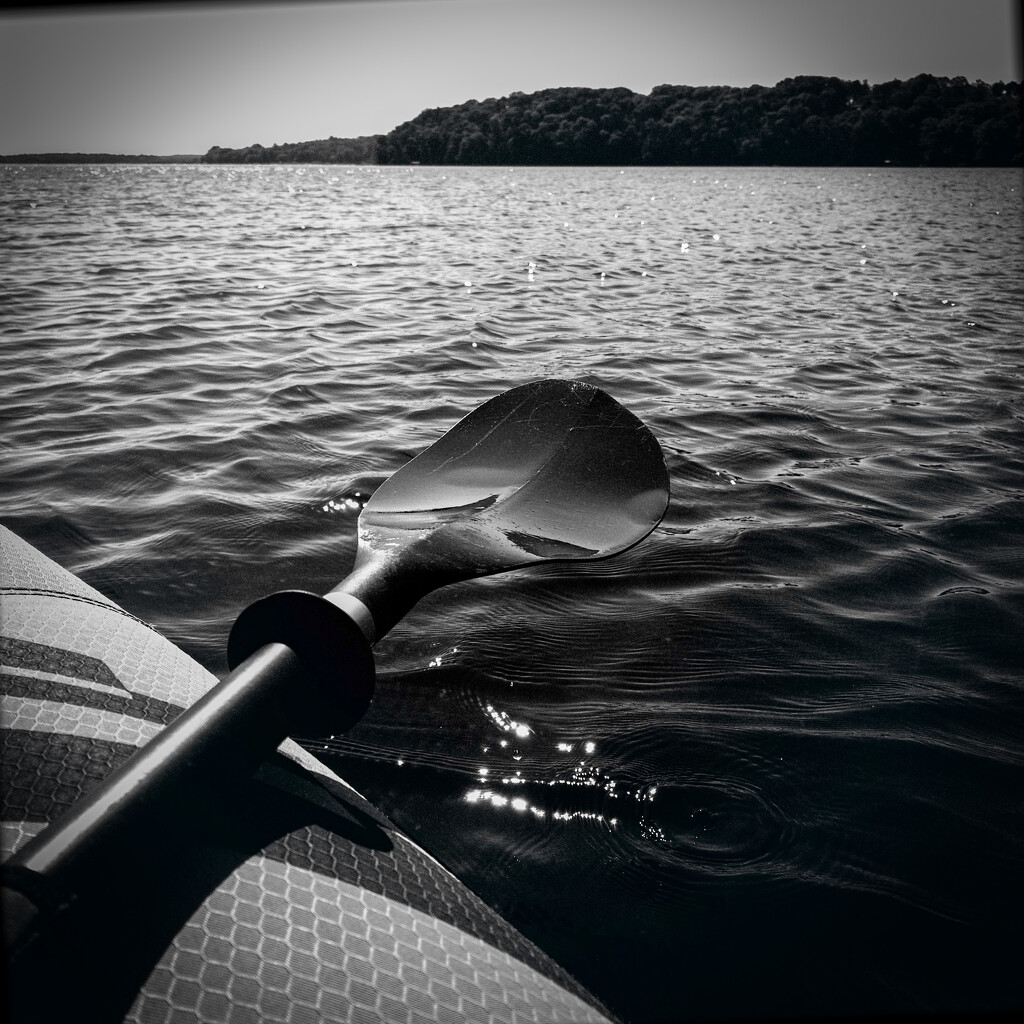 Kayak paddle by jeffjones