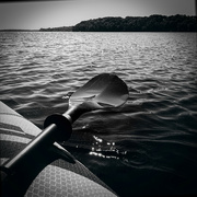 18th Jun 2022 - Kayak paddle