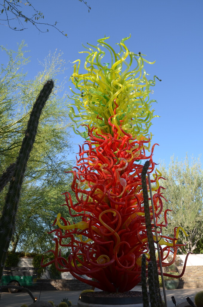 Dale Chihuly in the desert by mariaostrowski