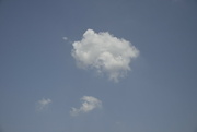 17th Jun 2022 - Fluffy Clouds
