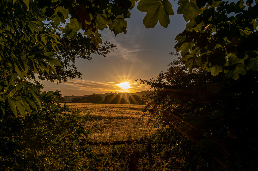 Summer solstice sunrise  by rjb71