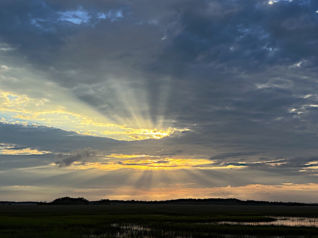 Sunset sun rays over the marsh by congaree