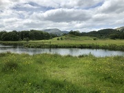 14th Jun 2022 - A Gentle Walk in the Lake District