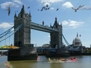 20th Jun 2022 - Terror Dragonflies and Beefeaters over London