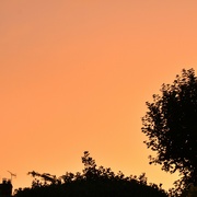 21st Jun 2022 - Saharan dust turned our evening sky orange!