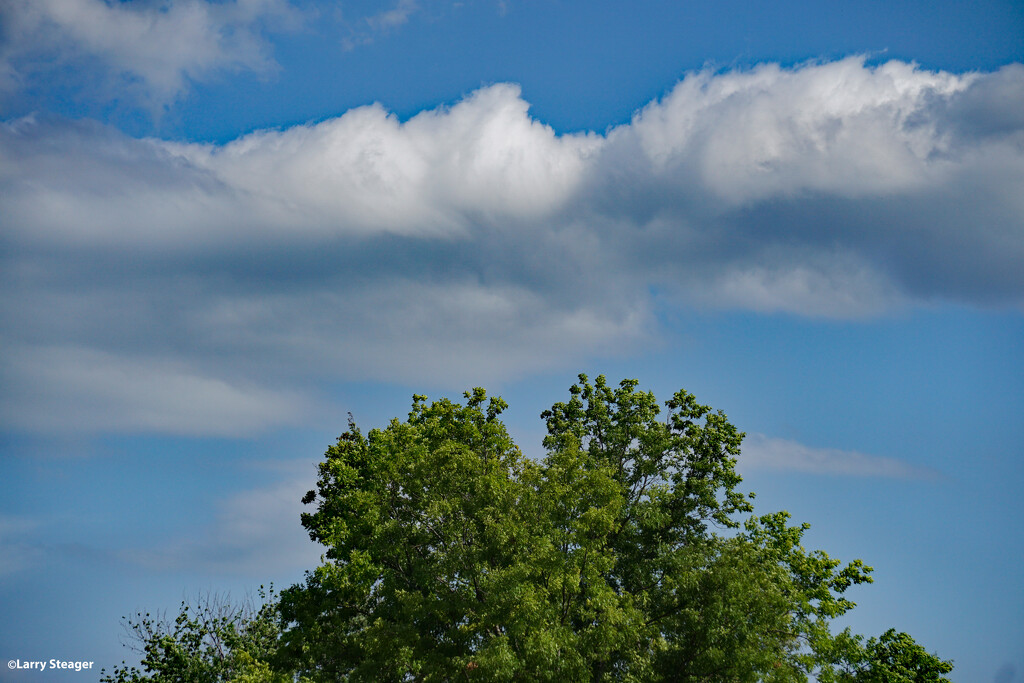 Summer sky by larrysphotos