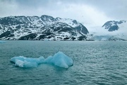 14th Jun 2022 - Cruising off the beautiful coast of Svalbard, north of Norway. 
