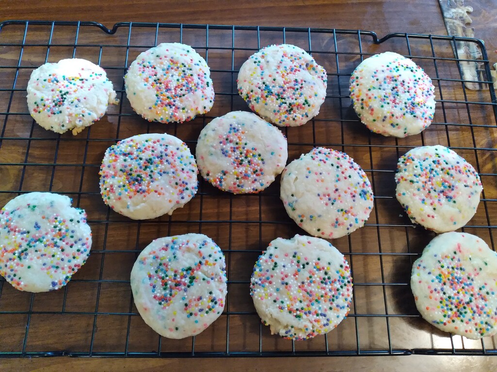 Sugar Cookies by julie