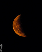 22nd Jun 2022 - Orange Crescent Moon