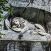 Lion of Lucerne by kwind